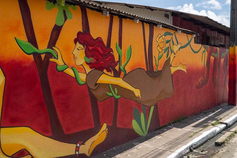 WhatsApp-Image-2026-06-18-at-13.43.56 Parintins 2026: Projeto fortalece representatividade feminina na arte urbana